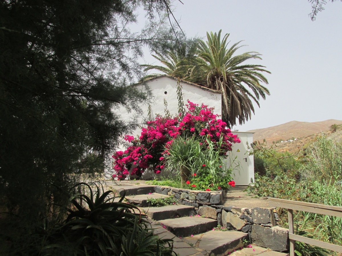 Leuke plaatsen op Fuerteventura: Betancuria