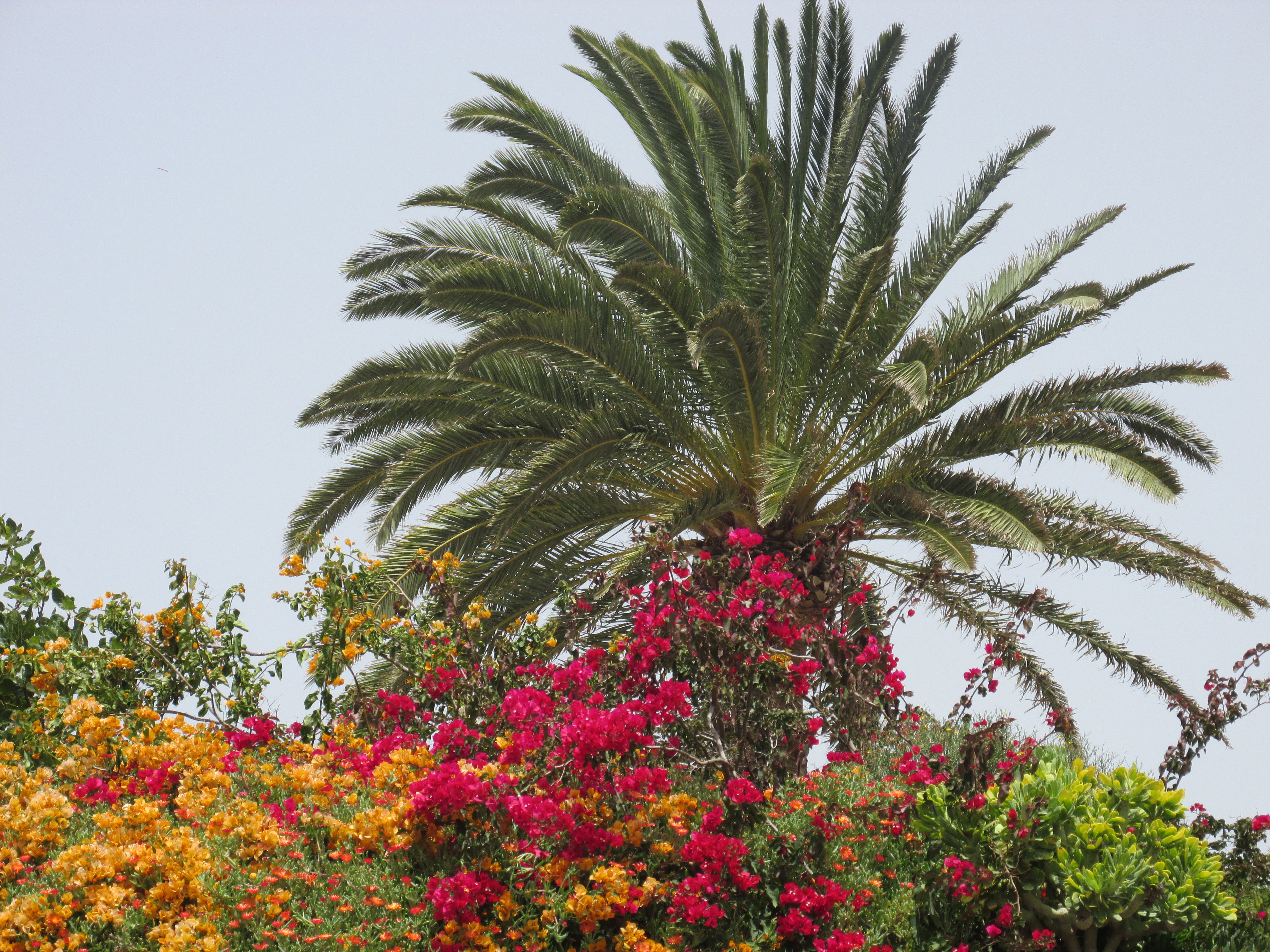 Leuke plaatsen op Fuerteventura: Betancuria.